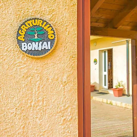 Bonsai Hotel Alghero