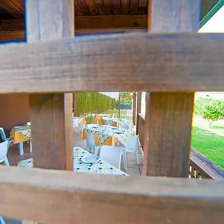Bonsai Hotel